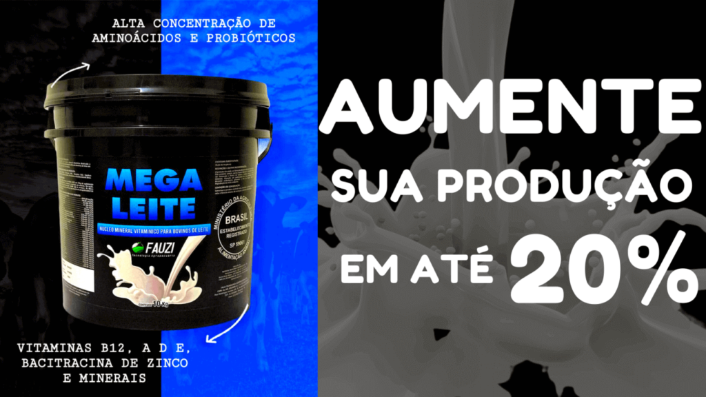 AUMENTE