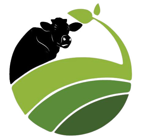 Logo Fauzi