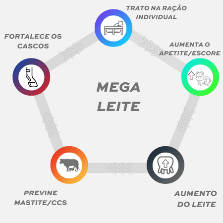METODO MEGA LEITE